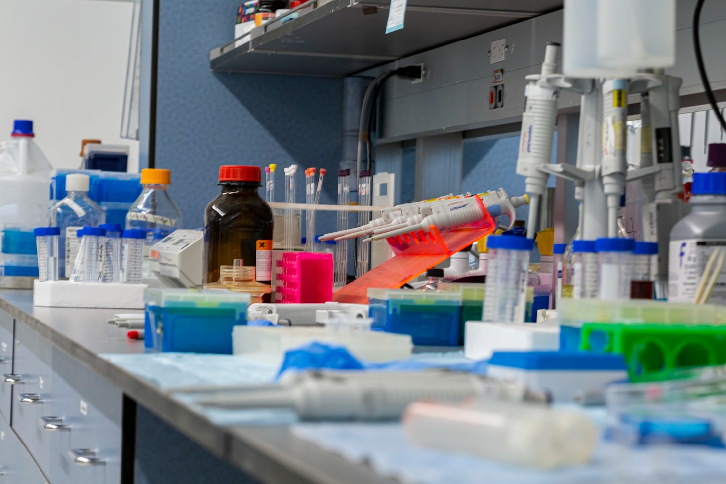 研究室での一日：科学者の仕事を覗く